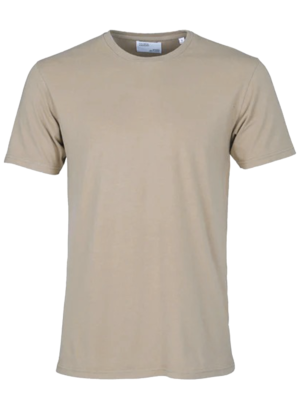 plain round neck t-shirt