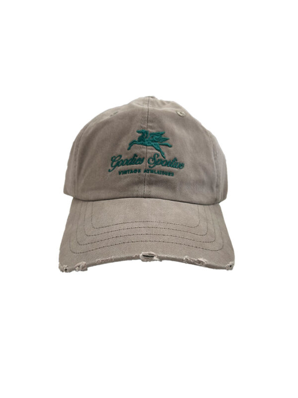 Casquettes pegasus
