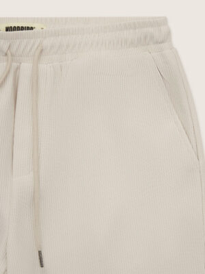 Pantalon plissé WBIvo